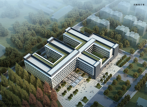 南京林業大學
